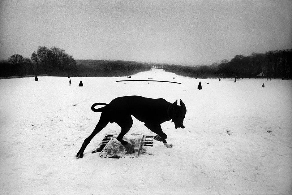 Josef KOUDELKA, Hauts-de-Seine, Parc de Sceaux, France
1987