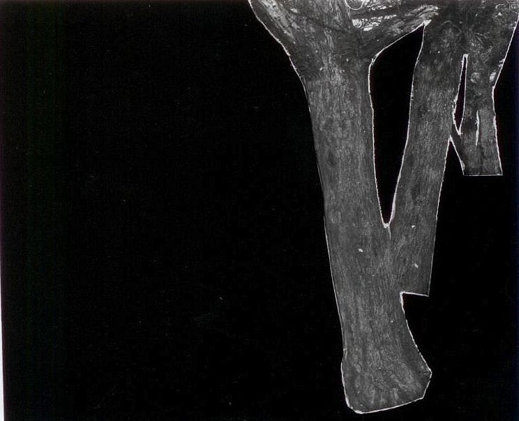 Geraldo DE BARROS, Untitled (from Sobras Series)
1996-1998