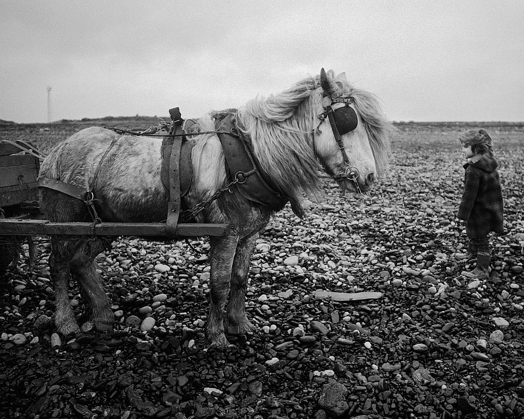 Chris KILLIP, John and Keith's horse, Seacoal beach, Lynemouth, Northumberland
1985