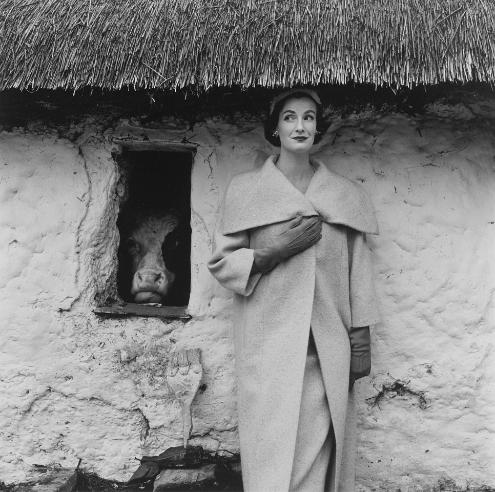 Norman PARKINSON, Wenda and the Cow, Wenda Parkinson, Vogue
1954, Modern gelatin silver hand processed print on Ilford fiber-based paper