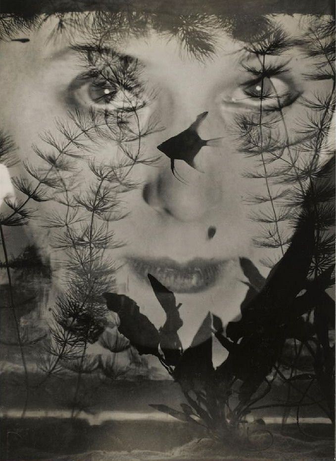 Heinz HAJEK-HALKE, Untitled
c. 1927