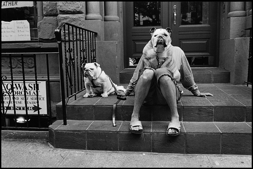 Elliott ERWITT, New York City
2000