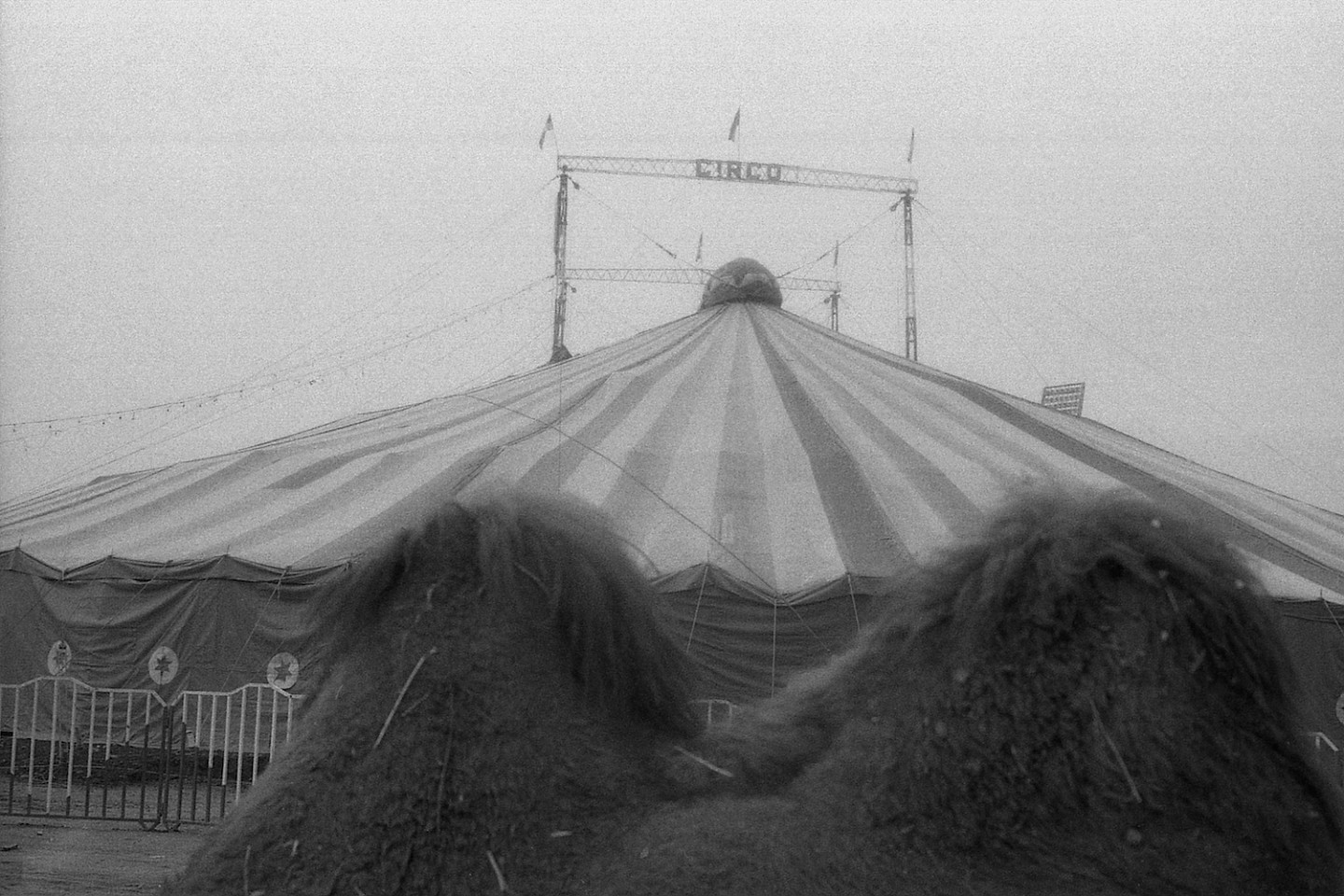 Mauricio VALENZUELA, Untitled (from the series Circo)
1980