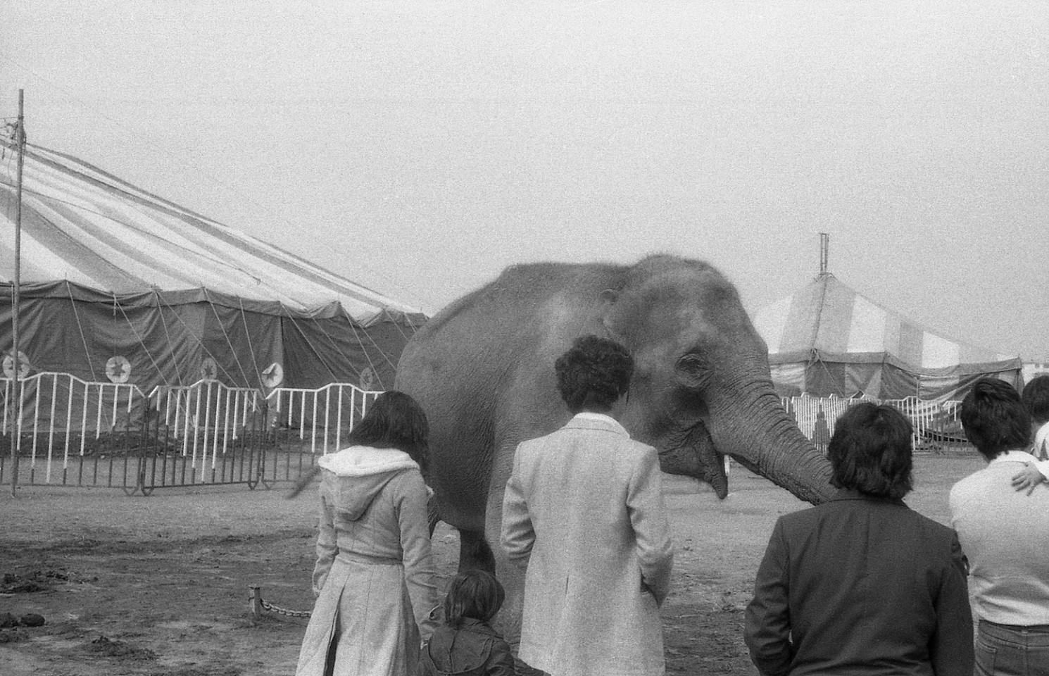 Mauricio VALENZUELA, Untitled (from the series Circo)
1980