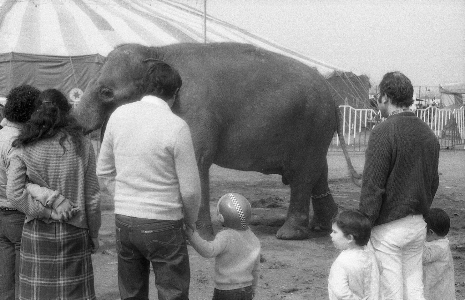 Mauricio VALENZUELA, Untitled (from the series Circo)
1980