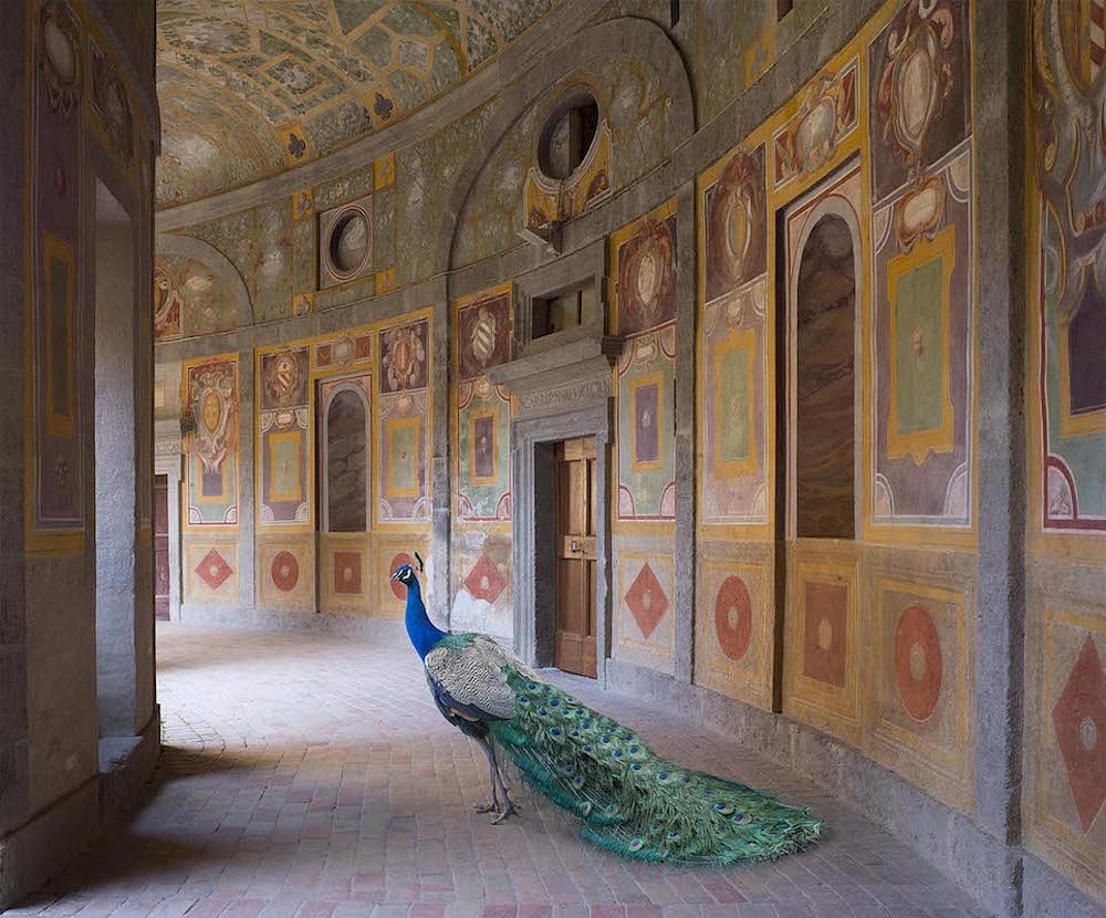 Karen KNORR, Heaven's Vault Villa Farnese, Caprarola
2014, Pigment print on Hannemuhle Fine Art Pearl Paper