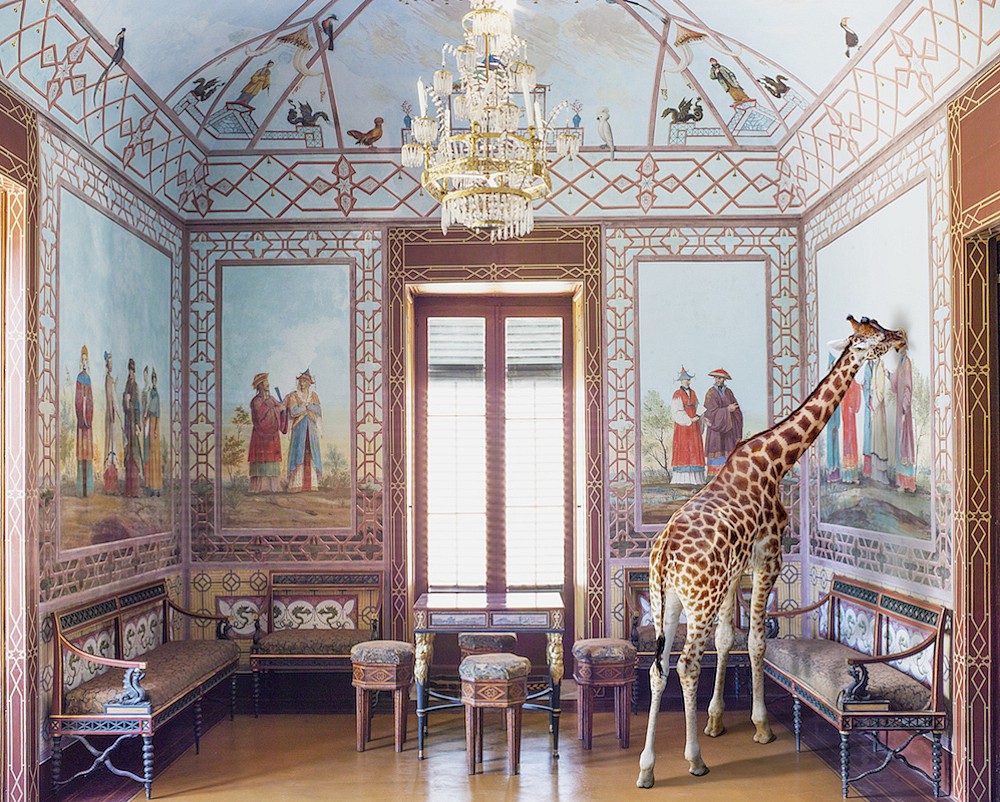 Karen KNORR, Love at First Sight,Palazinna Cinese
2017, Pigment print on Hannemuhle Fine Art Pearl Paper