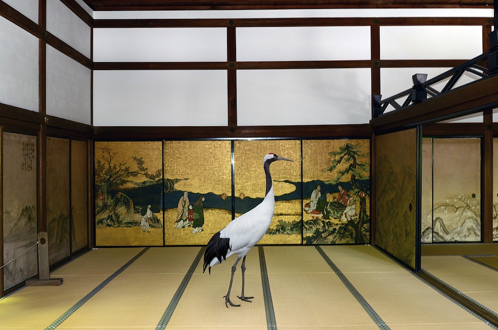 Karen KNORR, Way of the Path, Ryoan-ji Temple, Kyoto
2015, Pigment print on Hannemuhle Fine Art Pearl paper