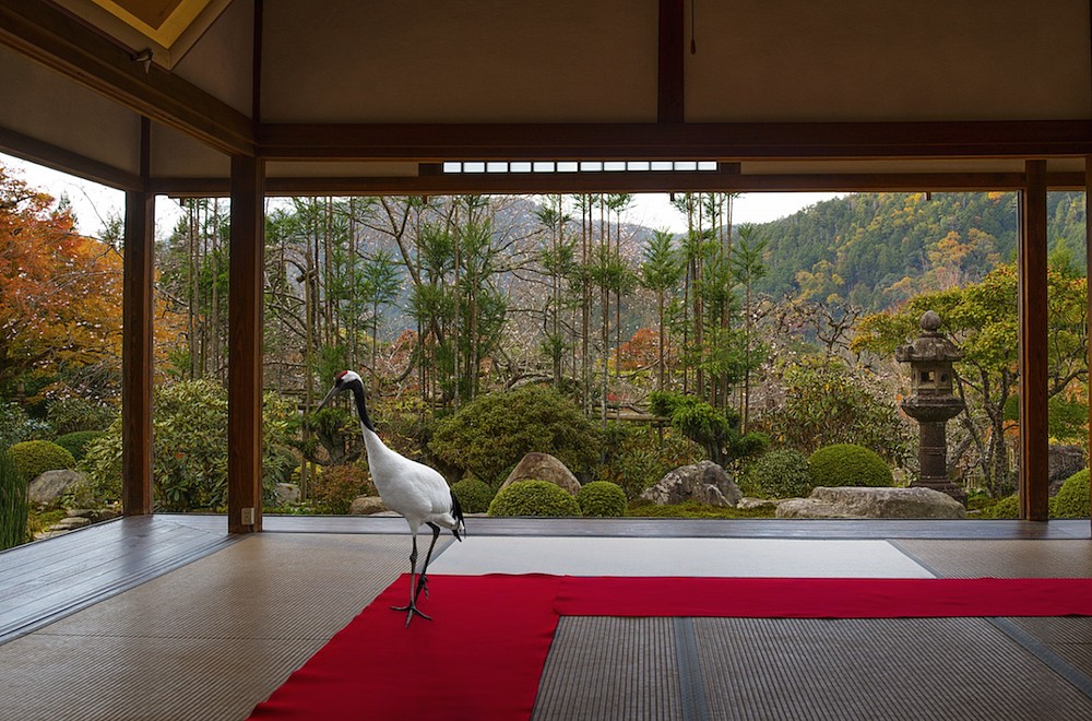 Karen KNORR, Journey to the Great Sage, Jikko-in Temple, Ohara
2015, Pigment print on Hannemuhle Fine Art Pearl paper