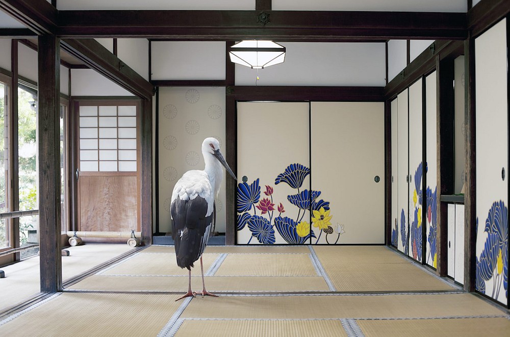 Karen KNORR, Victory of the Spirit ,Sho-ren in Temple, Kyoto
2015, Pigment print on Hannemuhle Fine Art Pearl paper