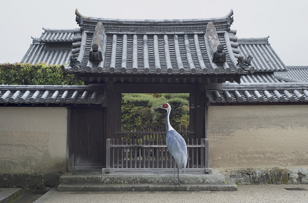 Karen KNORR, The Landing, Horyuji Temple, Nara
2015, Pigment print on Hannemuhle Fine Art Pearl paper