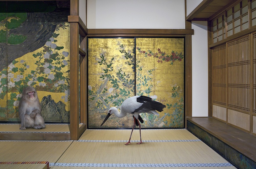 Karen KNORR, Cultivating Happiness,Chishaku-in Temple, Kyoto
2016, Pigment print on Hannemuhle Fine Art Pearl paper