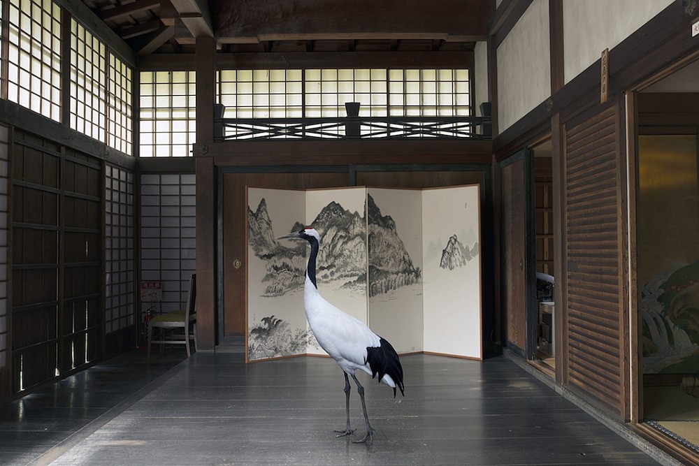 Karen KNORR, Towards Nirvana, Shunko- in Temple, Kyoto
2016, Pigment print on Hannemuhle Fine Art Pearl paper