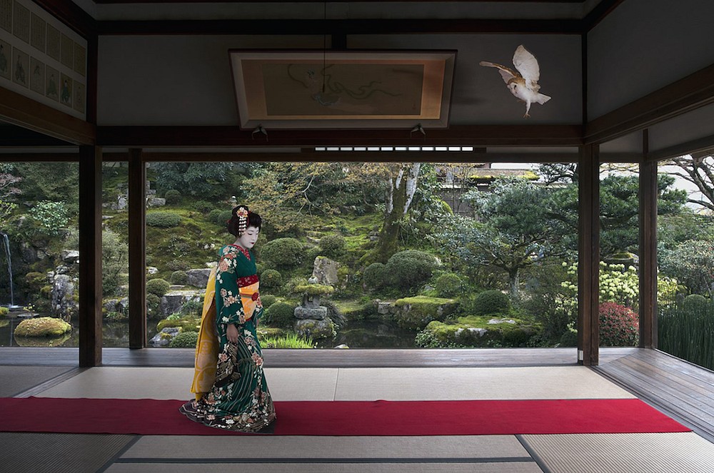 Karen KNORR, Fukurou, Jikko -in Temple, Ohara
2016, Pigment print on Hannemuhle Fine Art Pearl paper