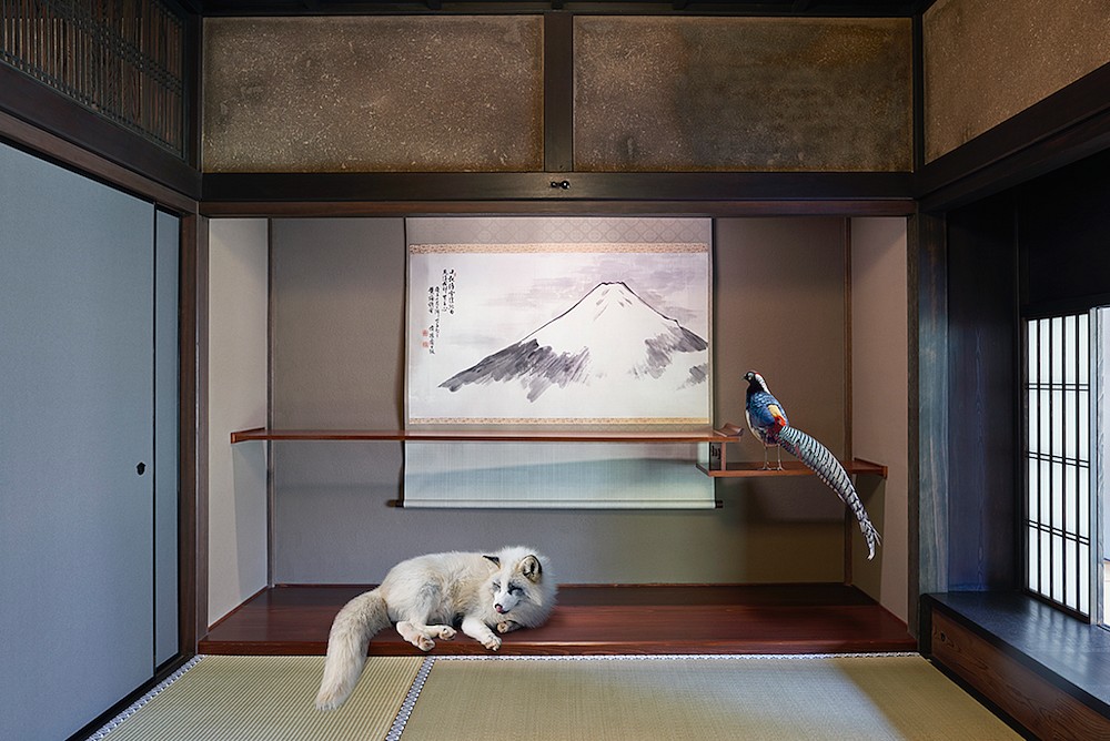 Karen KNORR, Every Encounter Treasured,Obai-in, Kyoto
2017, Pigment print on Hannemuhle Fine Art Pearl paper