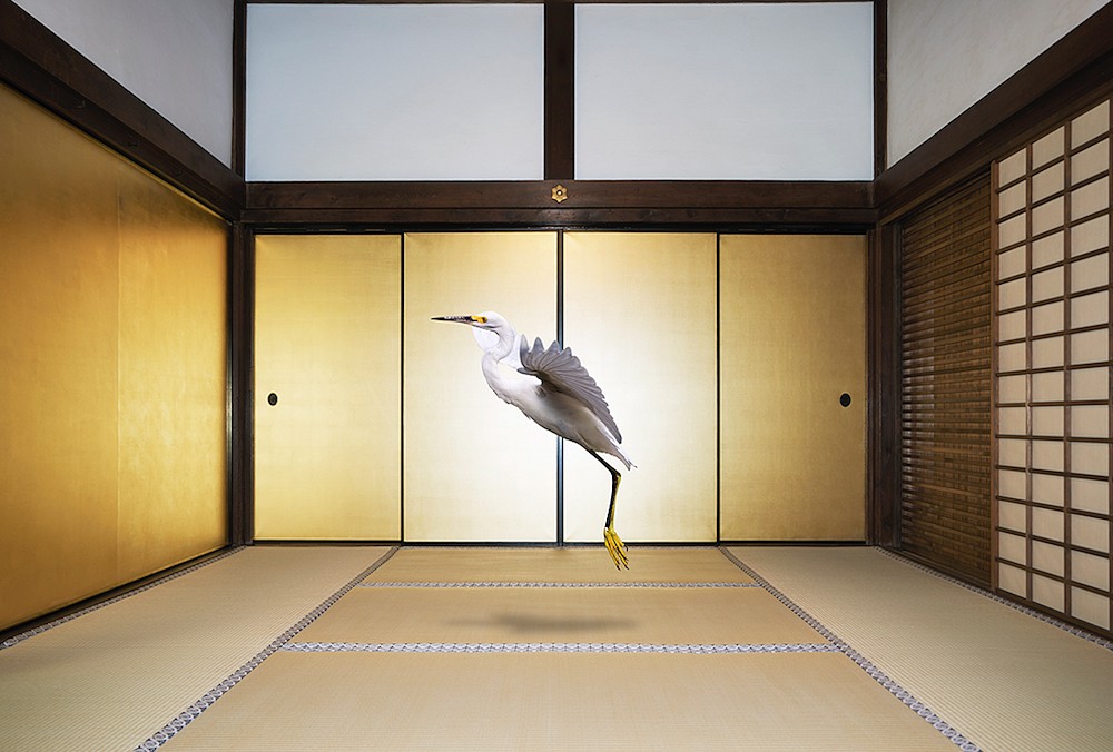 Karen KNORR, Form no Other than Emptiness, Obai-in, Kyoto
2017, Pigment print on Hannemuhle Fine Art Pearl paper