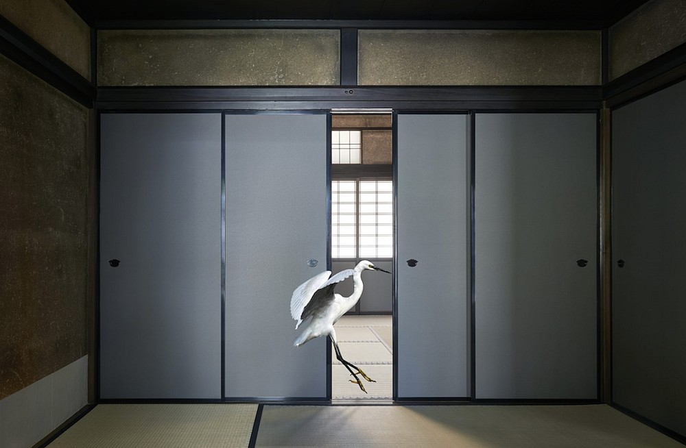 Karen KNORR, Once Only, Obai-in, Kyoto
2017, Pigment print on Hannemuhle Fine Art Pearl paper