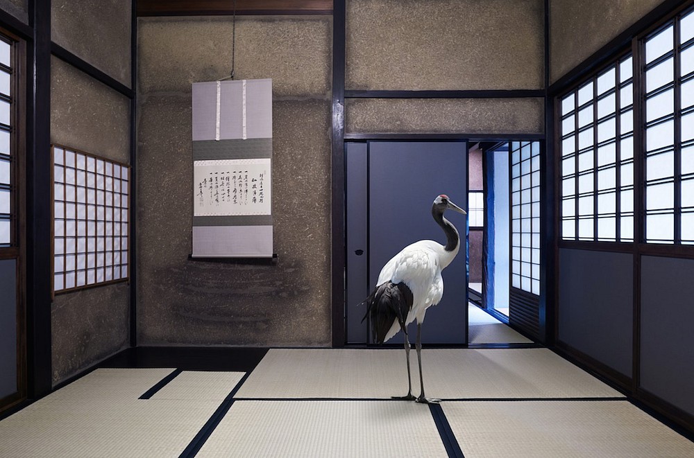 Karen KNORR, Search for Dharma,Obai-in, Kyoto
2017, Pigment print on Hannemuhle Fine Art Pearl paper