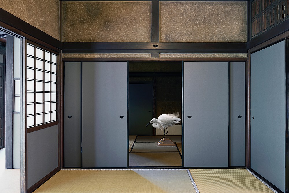 Karen KNORR, Only Once, Obai-in, Kyoto
2017, Pigment print on Hannemuhle Fine Art Pearl paper