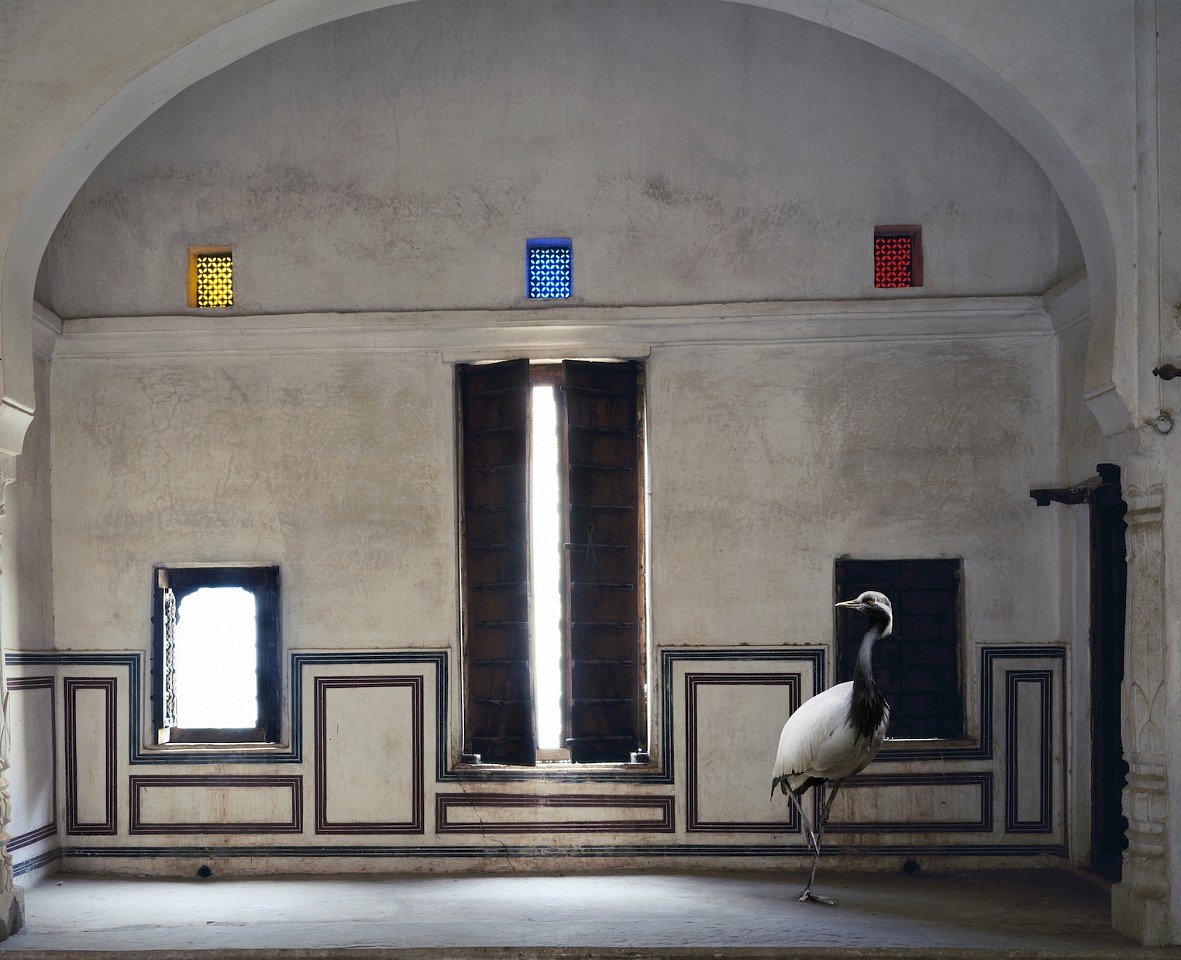 Karen KNORR, Light of the World, Zanana Room, Nawalgarh, From 'India Song' series
2010, Pigment print on Hannemuhle Fine Art paper