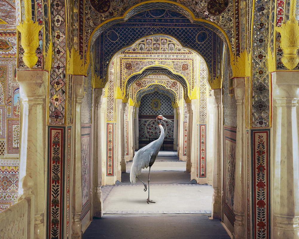 Karen KNORR, The Holding of Vigilance, Samode Palace, from 'India Song' series
2010, Pigment print on Hannemuhle Fine Art paper