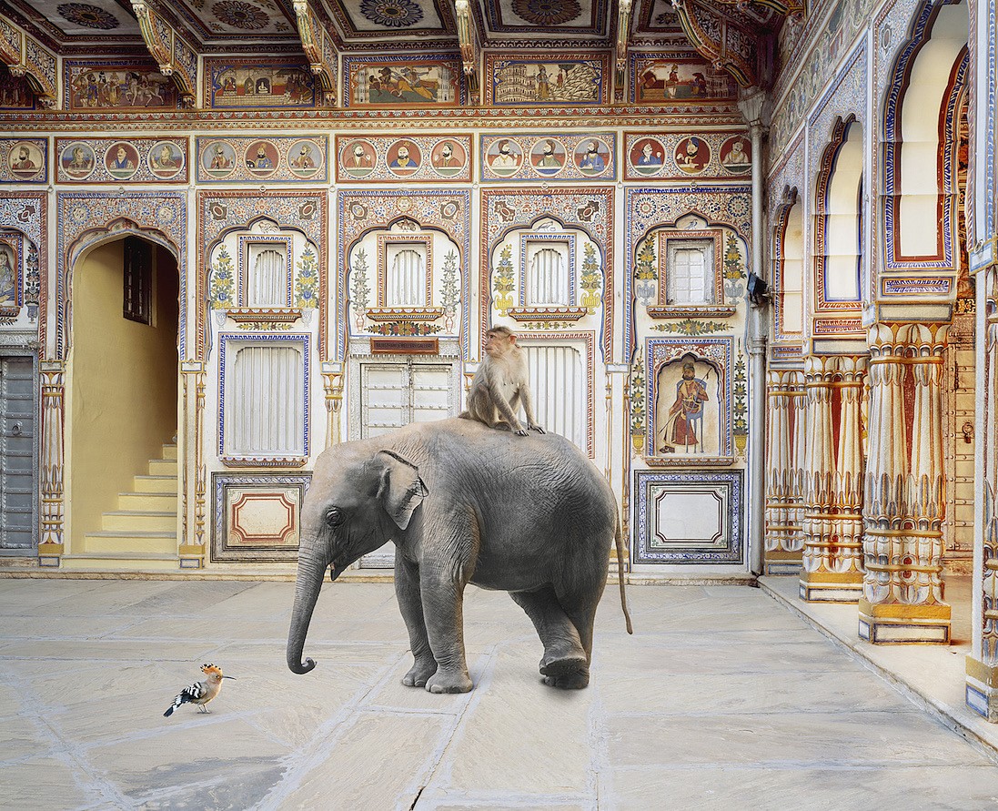 Karen KNORR, Conqueror of the World, Podar Haveli, Nawalgarh, from 'India Song' series
2010, Pigment print on Hannemuhle Fine Art paper