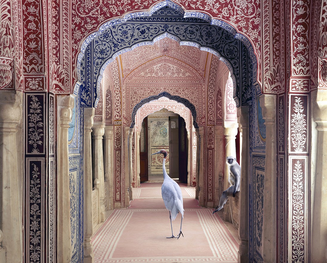 Karen KNORR, Avatars of Devi, Zanana, Samode Palace, from 'India Song' series
2010, Pigment print on Hannemuhle Fine Art paper