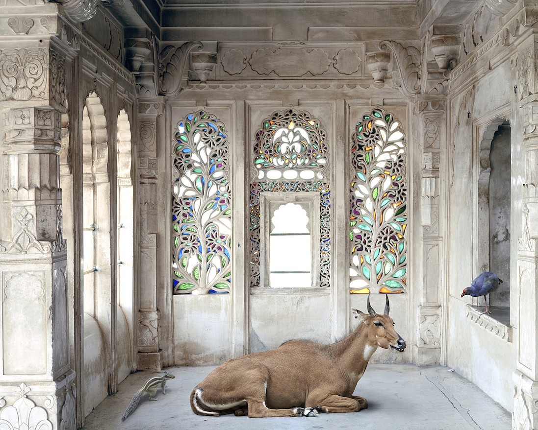 Karen KNORR, A Place Like Amravati 1, Udaipur City Palace, from 'India Song' series
2011, Pigment print on Hannemuhle Fine Art paper