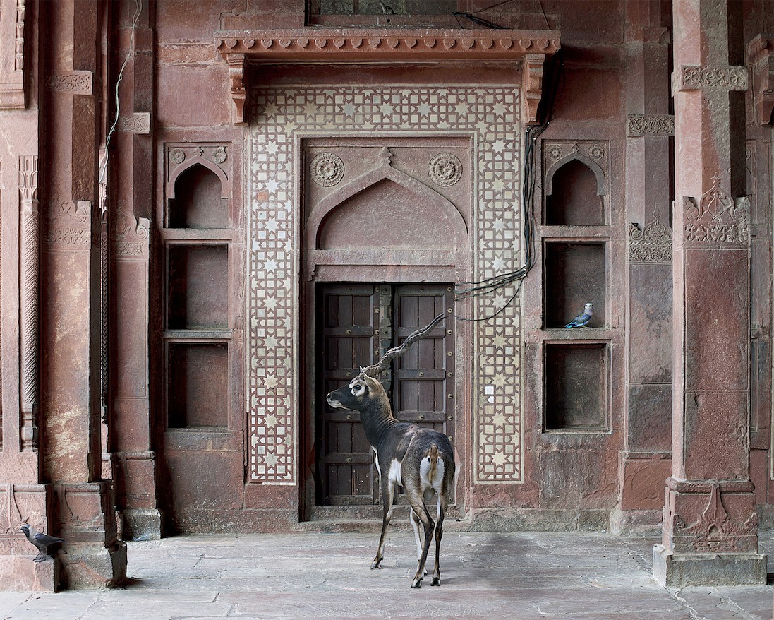 Karen KNORR, Shelter of the World, Dargarh Mosque Fatehpur Sikri, from 'India Song' series
2011, Pigment print on Hannemuhle Fine Art paper