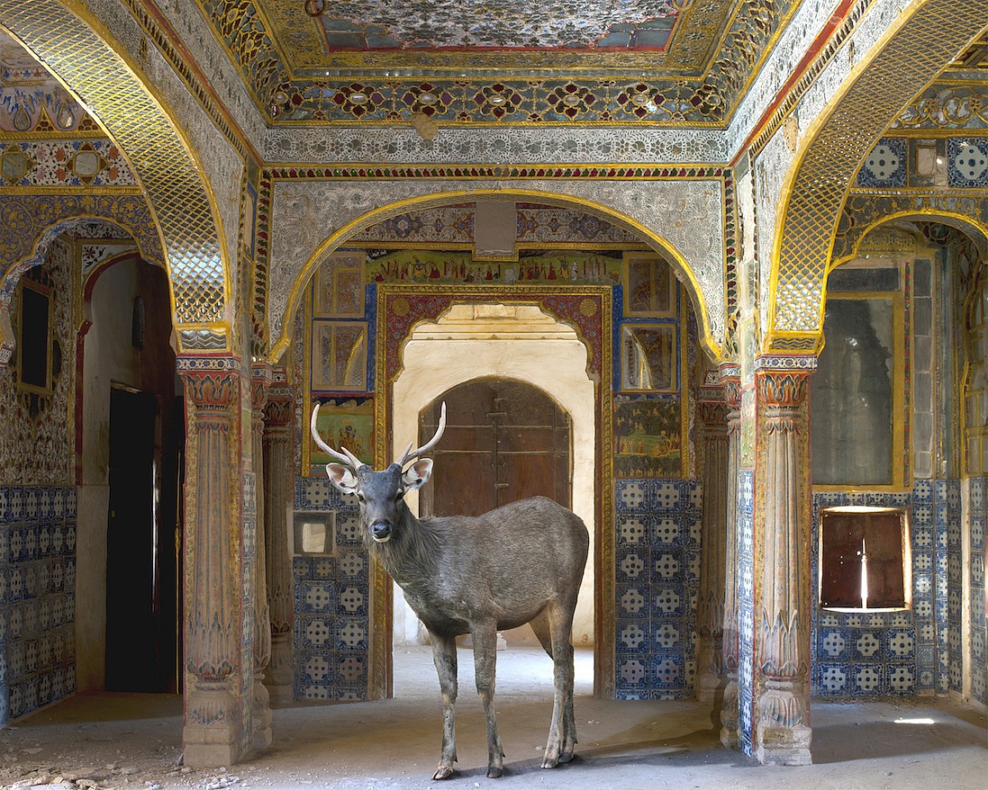 Karen KNORR, The Rout of the Rathore, Rani Ka Mahal, Sonar Quila, Jaiselmer, from 'India Song' series
2011, Pigment print on Hannemuhle Fine Art paper