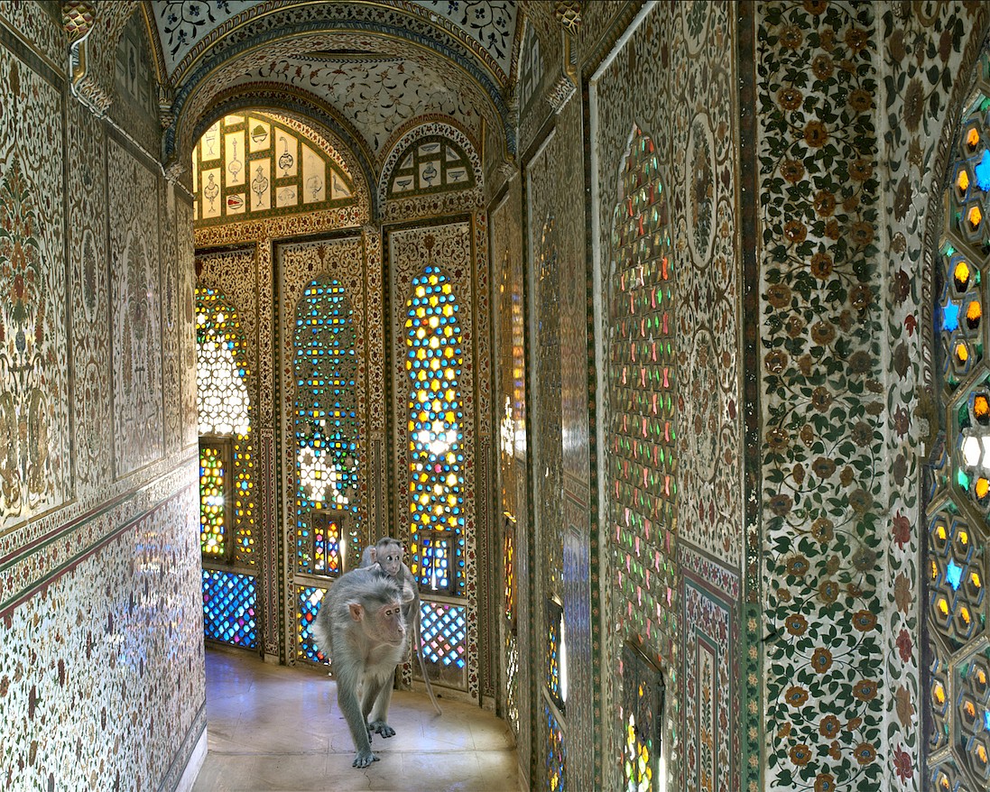 Karen KNORR, Asylum, Junargarh Fort, Bikaner, from 'India Song' series
2011, Pigment print on Hannemuhle Fine Art paper