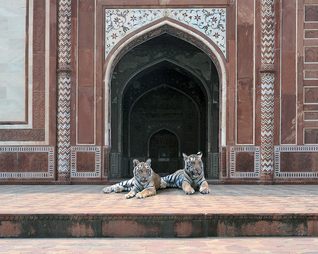 Karen KNORR, At the Edge of the Forest, Agravena, Agra, from 'India Song' series
2011, Pigment print on Hannemuhle Fine Art paper