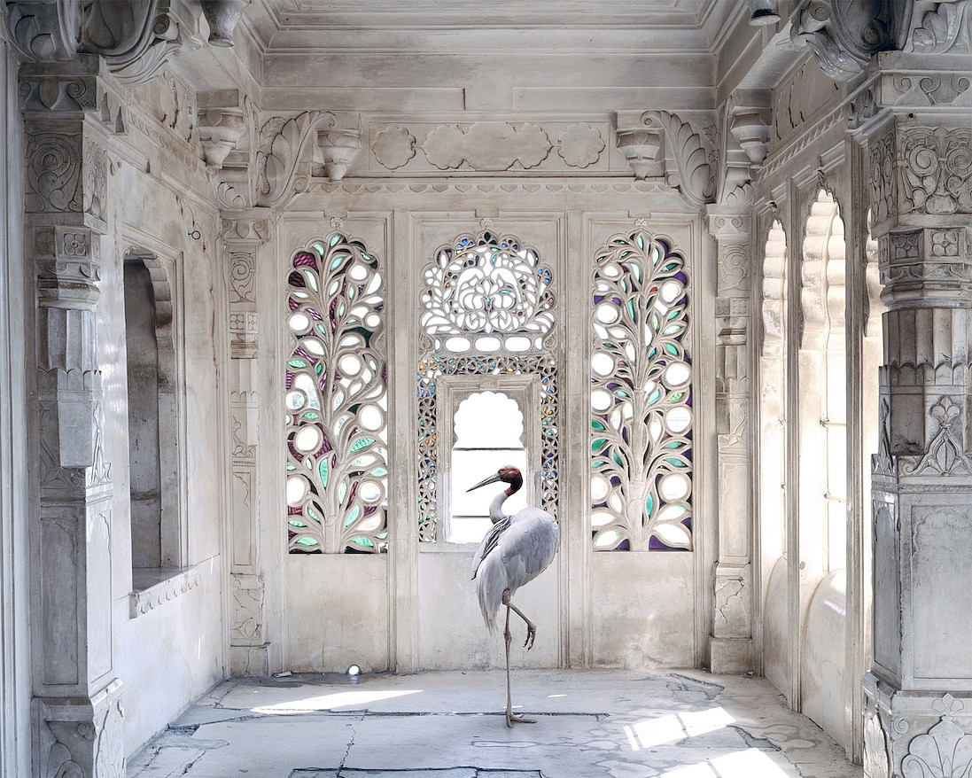 Karen KNORR, A Place Like Amravati 2, Udaipur City Palace, from 'India Song' series
2011, Pigment print on Hannemuhle Fine Art paper