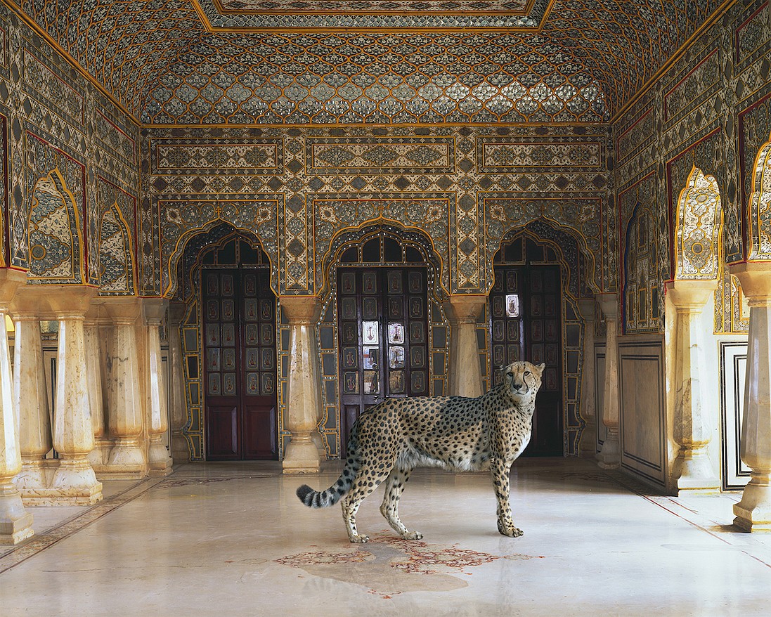 Karen KNORR, The Return of the Hunter, Chandra Mahal, Jaipur Palace, Jaipur, from 'India Song' series
2012, Pigment print on Hannemuhle Fine Art paper