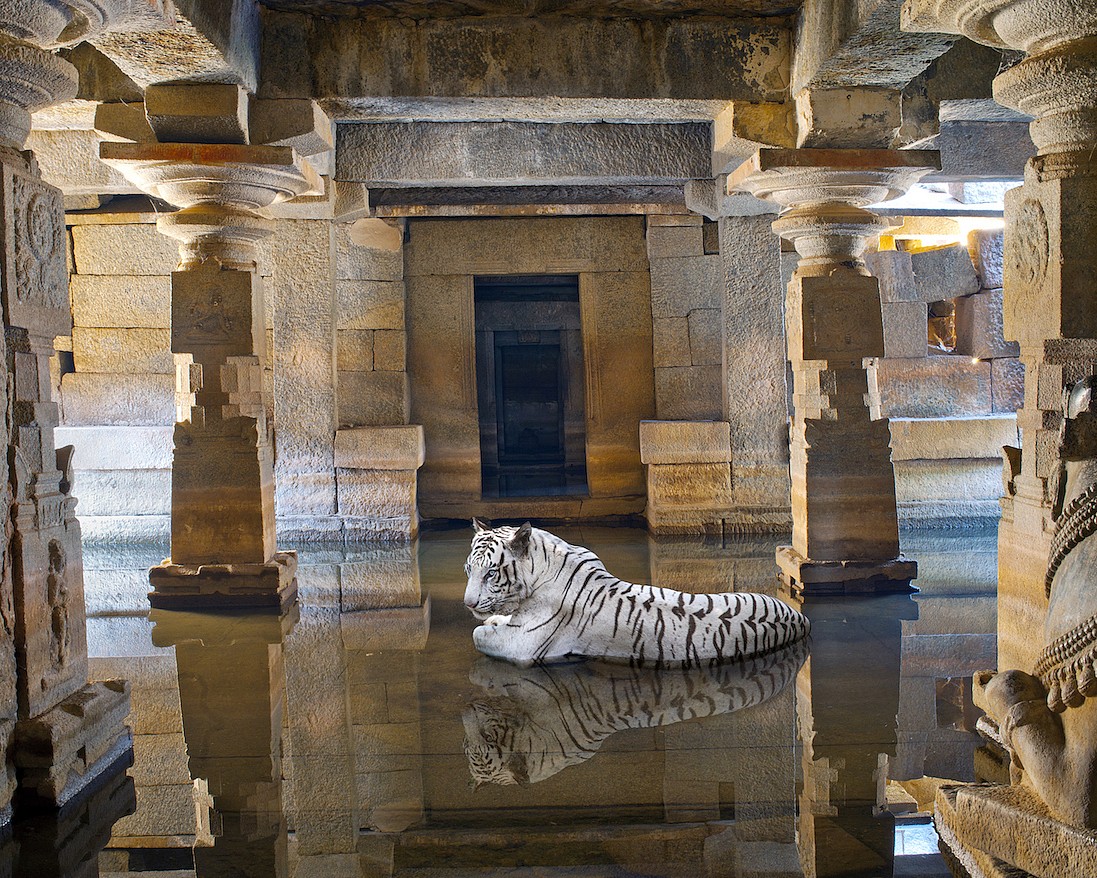 Karen KNORR, Bakhti, Path of Sants, Shiva Temple, Hamp, from 'India Song' series
2012, Pigment print on Hannemuhle Fine Art paper