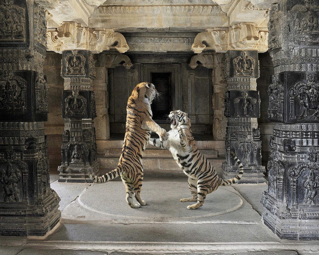 Karen KNORR, Palaiyakkaras, Hazara Rama Temple, Hampi, from 'India Song' series
2012, Pigment print on Hannemuhle Fine Art paper