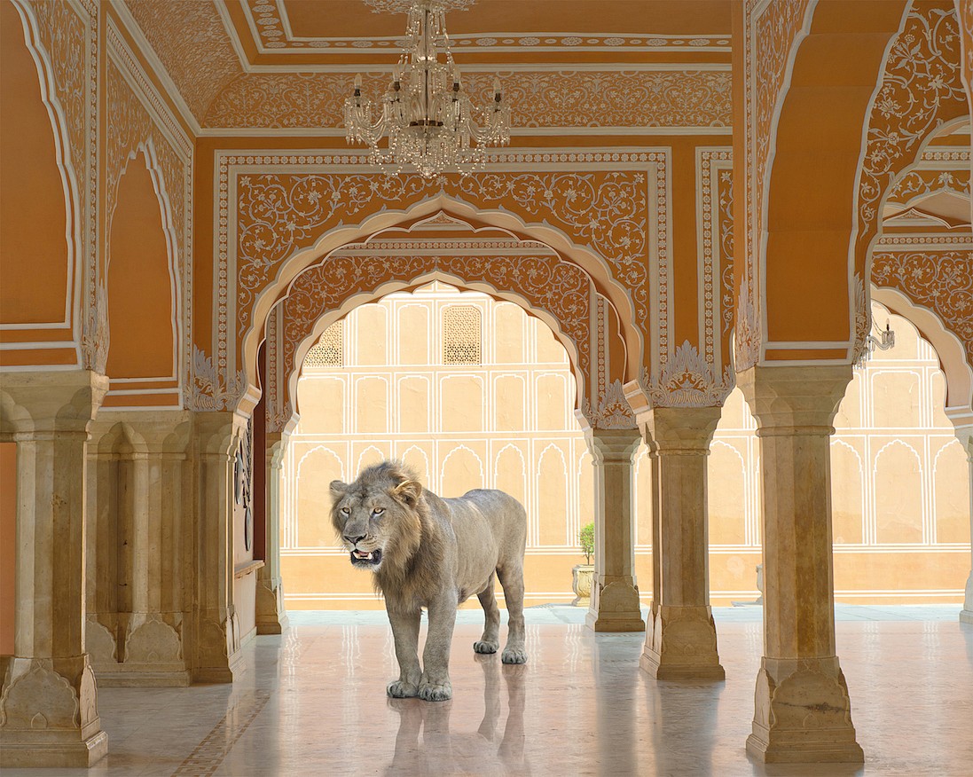 Karen KNORR, The Last Lion, Diwan-i-Khas, Jaipur City Palace, Jaipur, from 'India Song' series
2013, Pigment print on Hannemuhle Fine Art paper