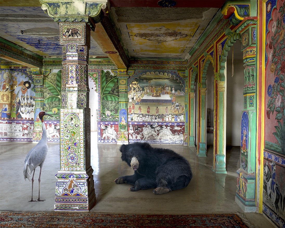 Karen KNORR, Hanuman's Mentor, Junha Mahal, Dungarpur, from 'India Song' series
2013, Pigment print on Hannemuhle Fine Art Pearl paper