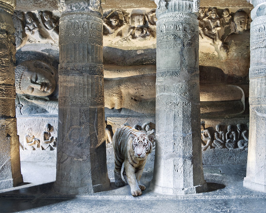 Karen KNORR, Mahasattva's Sacrifice, Ajanta Caves, from 'India Song' series
2013, Pigment print on Hannemuhle Fine Art paper