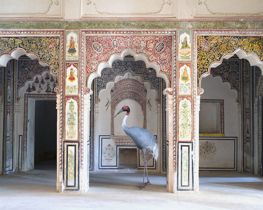 Karen KNORR, The Search for Sattva, Ahhichatragarh Fort, Nagaur, from 'India Song' series
2014, Pigment print on Hannemuhle Fine Art paper