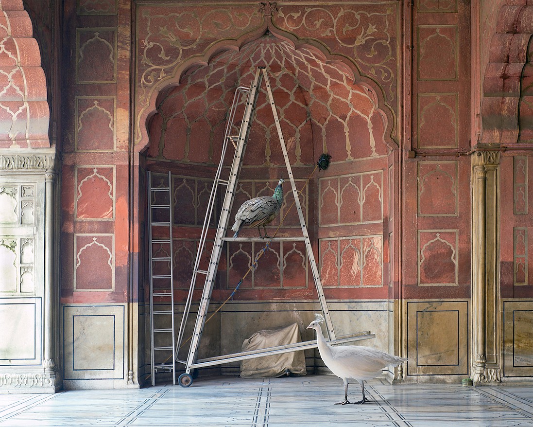 Karen KNORR, The One Spoken To By Angels, Jama Masjid Delhi, from 'India Song' series
2014, Pigment print on Hannemuhle Fine Art paper