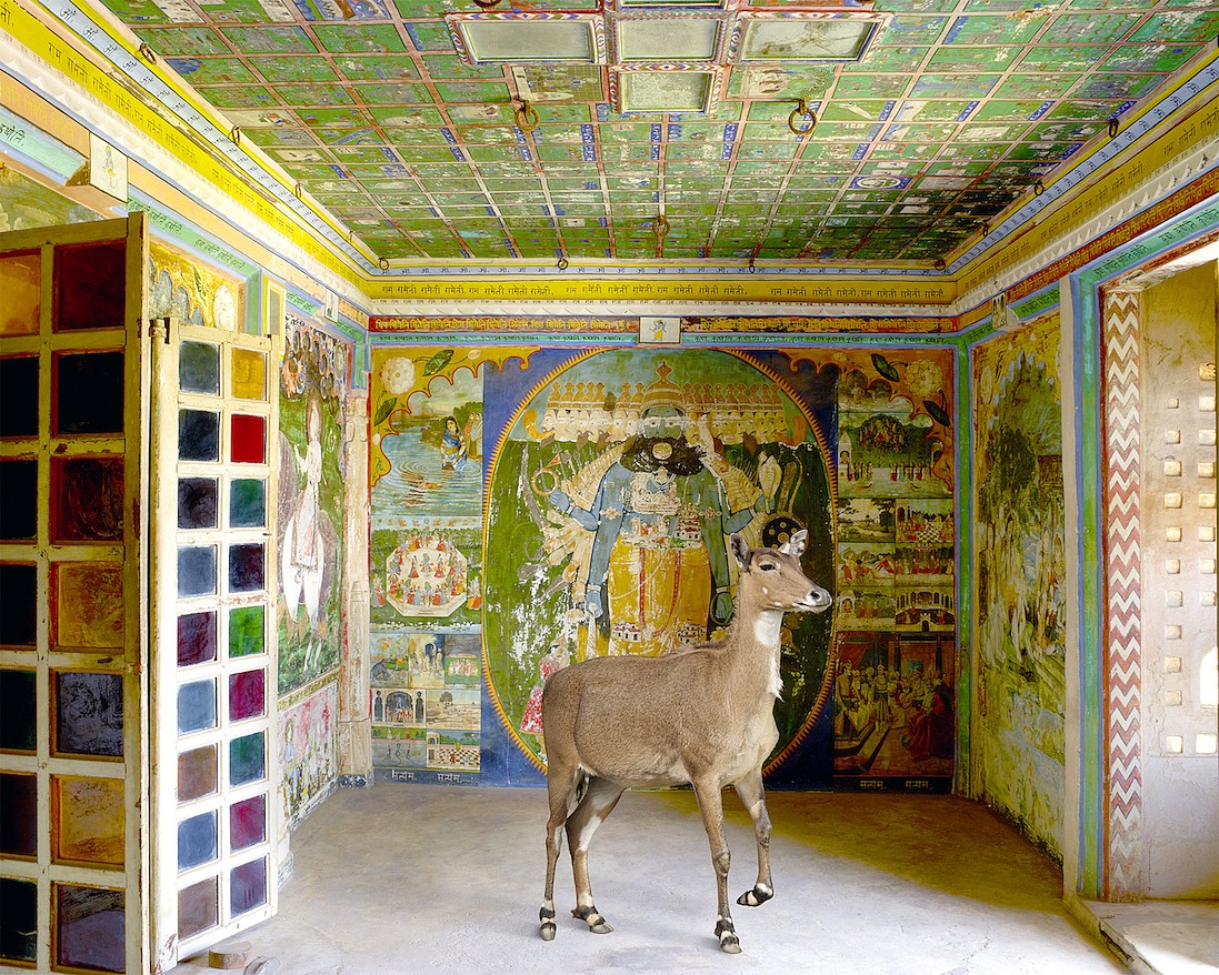 Karen KNORR, Brahma's Friend, Aam Khas, Dungarpur, from 'India Song' series
2014, Pigment print on Hannemuhle Fine Art paper