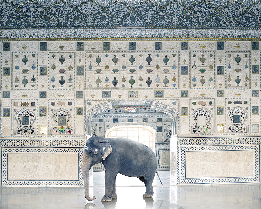 Karen KNORR, Temple Servant, Amber Fort, Jaipur, from 'India Song' series
2014, Pigment print on Hannemuhle Fine Art paper