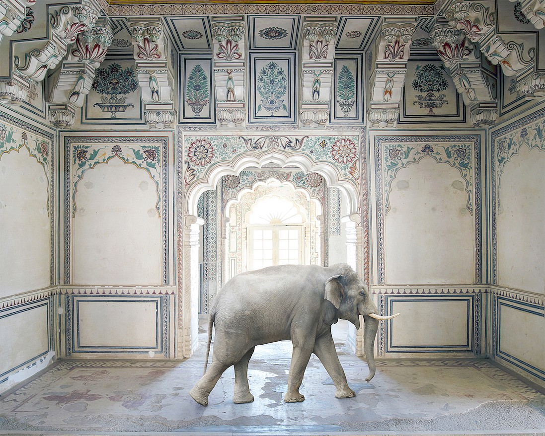 Karen KNORR, Ganesha's Stride, Abha Mahal, Ahichhatragarh, Nagaur, from 'India Song' series
2015, Pigment print on Hannemuhle Fine Art paper