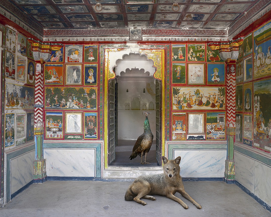 Karen KNORR, The Lion's Saviour, Zanana, Dungarpur Palace, from 'India Song' series
2015, Pigment print on Hannemuhle Fine Art paper