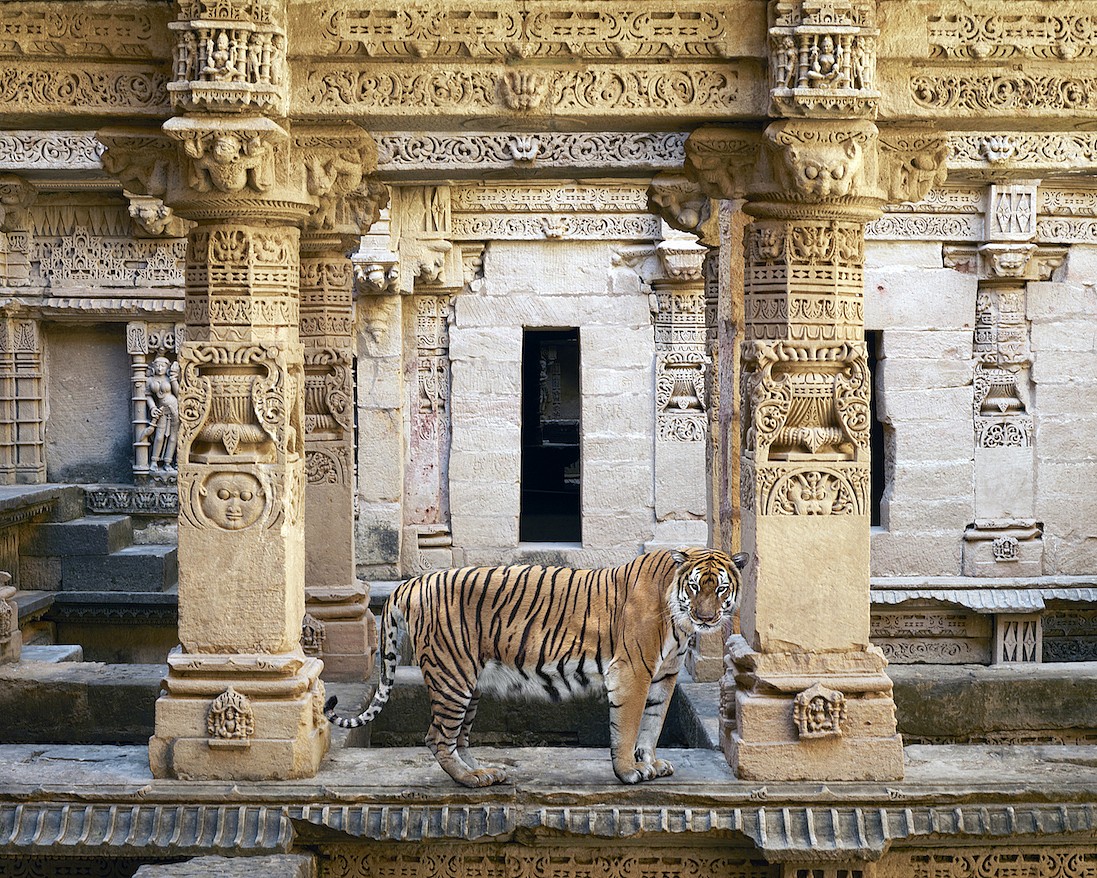 Karen KNORR, Vishnu's Return to the World, Rani Ki Vav, Patna, from 'India Song' series
2015, Pigment print on Hannemuhle Fine Art paper