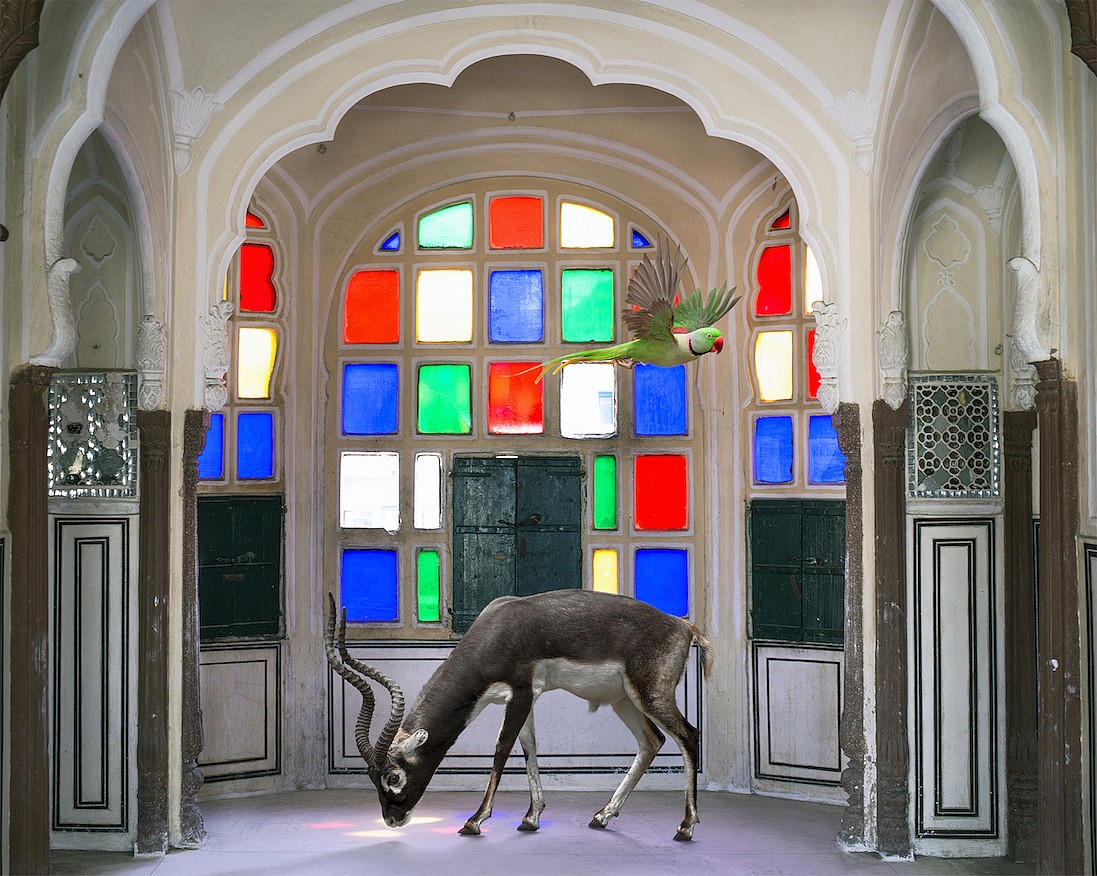 Karen KNORR, Krishna's Crown, Jawa Mahal, Jaipur, from 'India Song' series
2016, Pigment print on Hannemuhle Fine Art paper