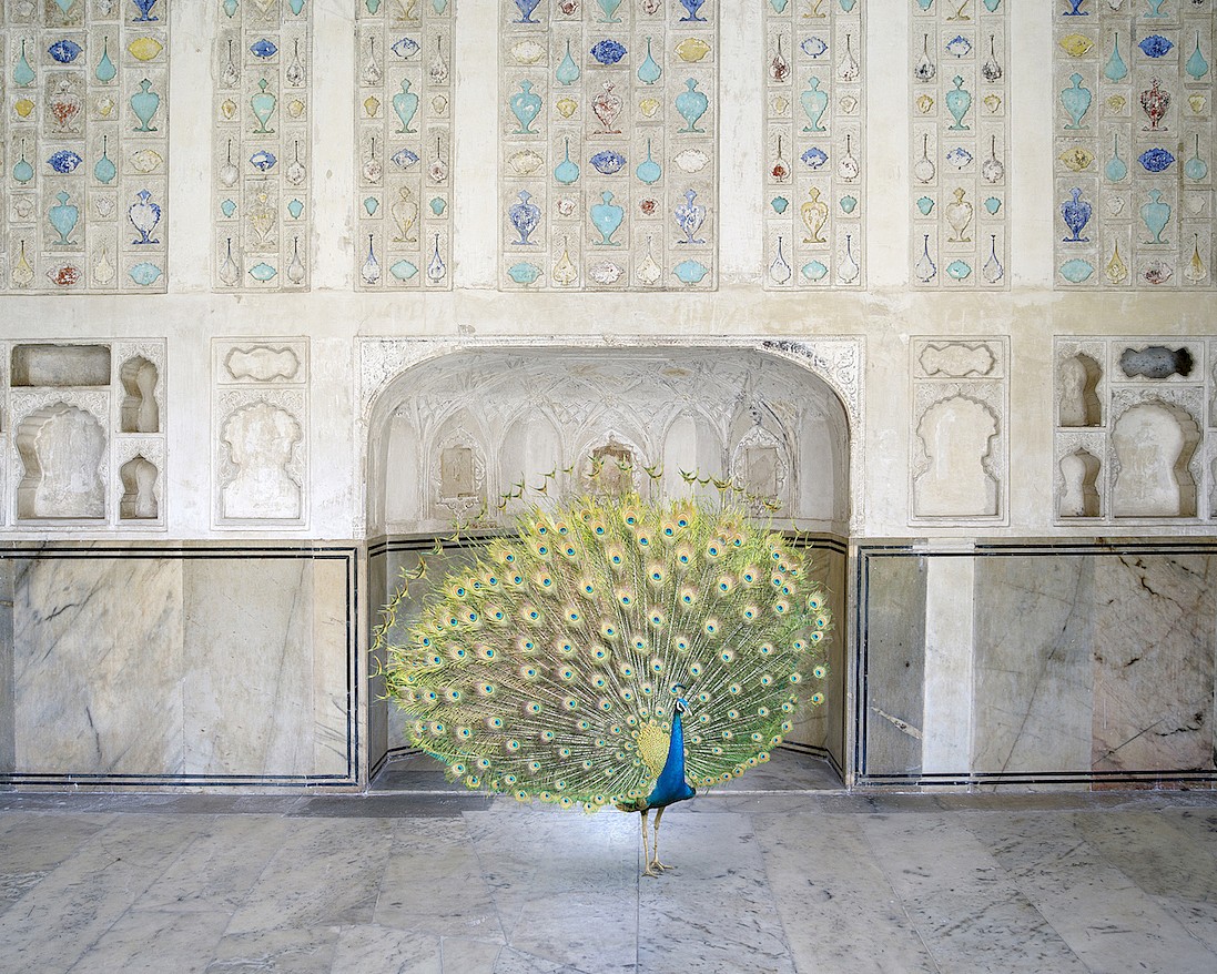 Karen KNORR, Master of Seduction, Amer Fort, Amer, from 'India Song' series
2017, Pigment print on Hannemuhle Fine Art paper