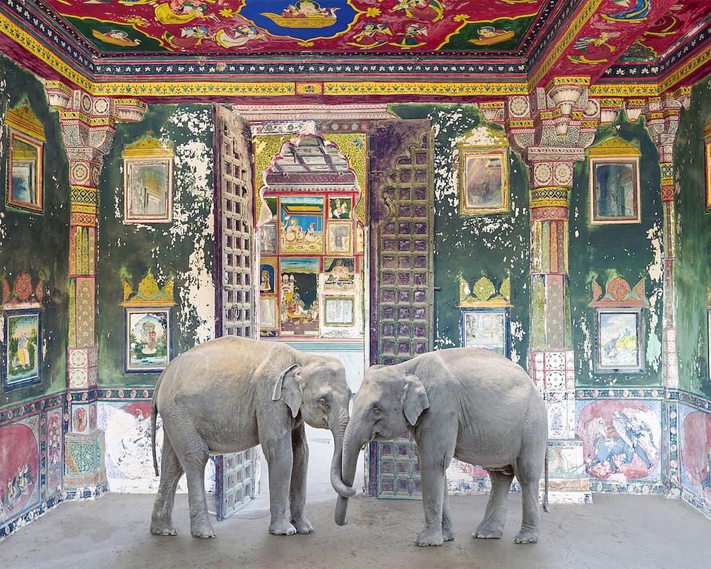 Karen KNORR, Friends in Need, Juna Mahal, Dungarpur Palace, from 'India Song' series
2020, Pigment print on Hannemuhle Fine Art paper