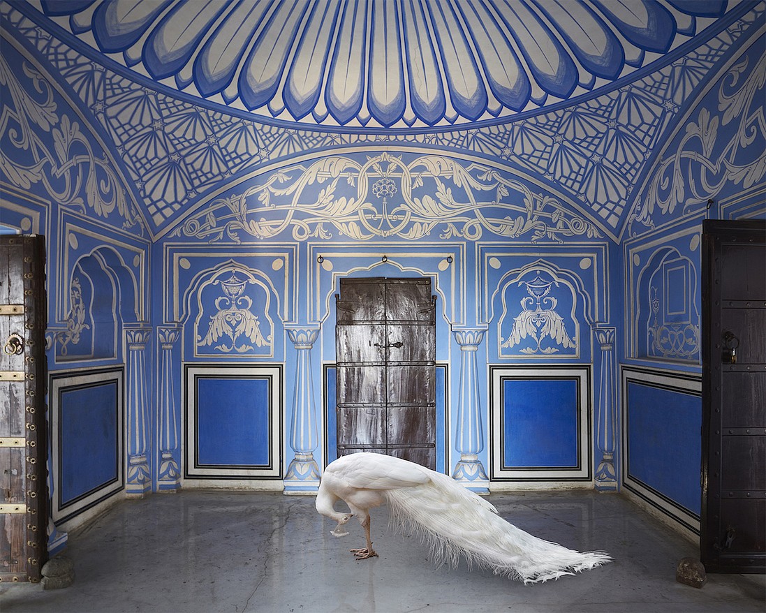 Karen KNORR, Ganesha's Mount, Chavi Niwas, Jaipur, from 'India Song' series
2020, Pigment print on Hannemuhle Fine Art paper